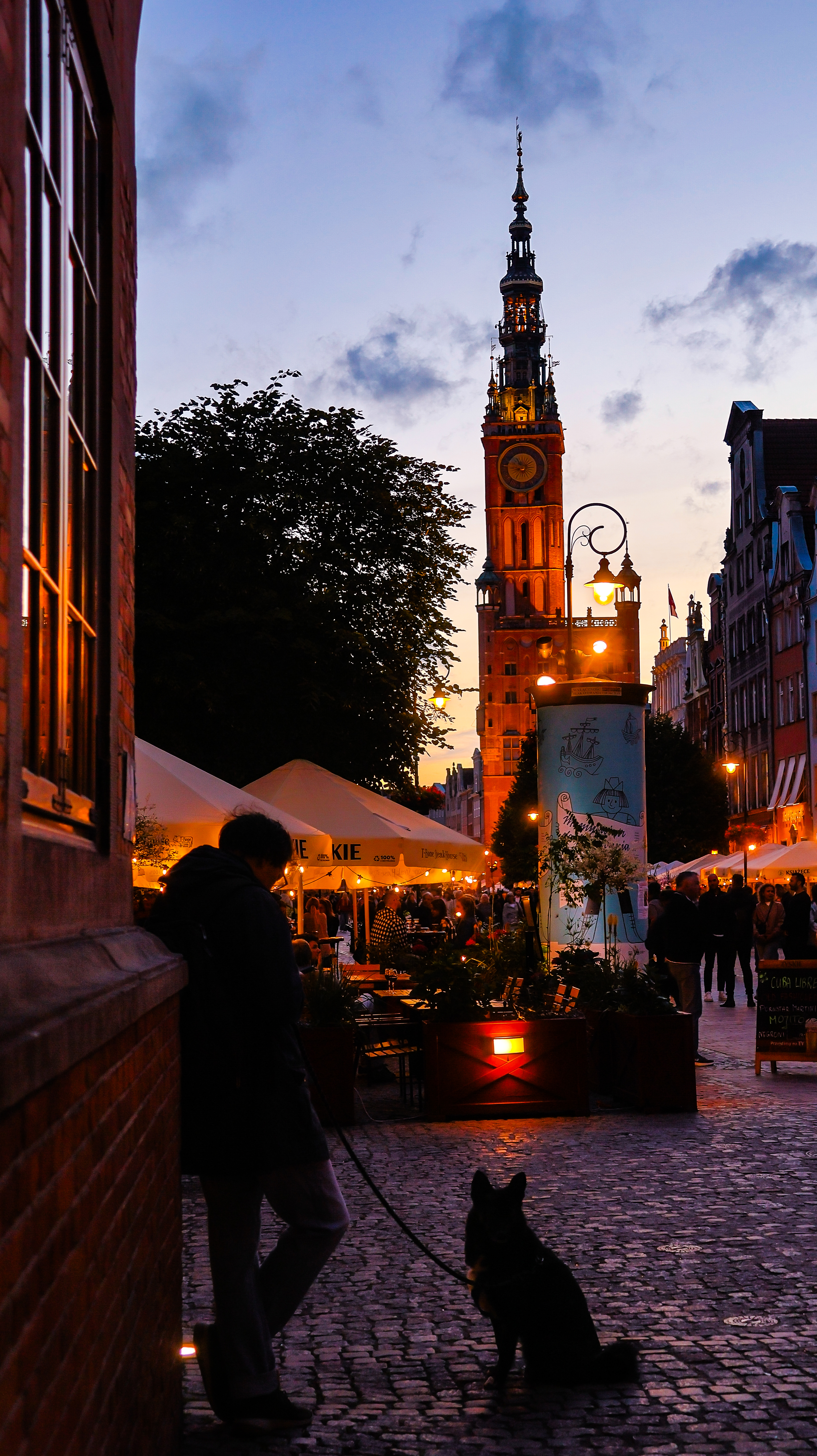 Gdansk town hall at night, Poland