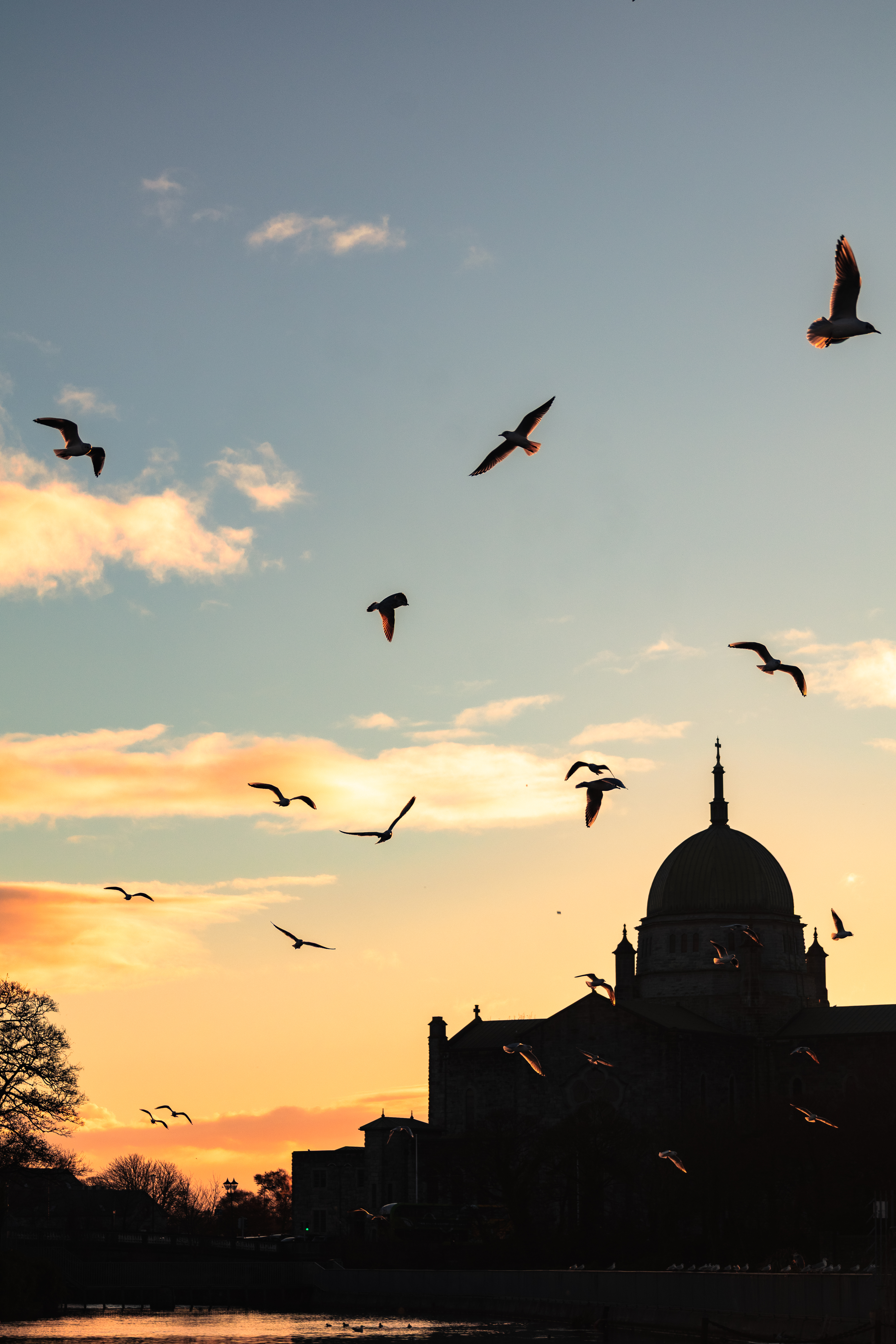Galway Cathedral at sunset with seagulls, Ireland