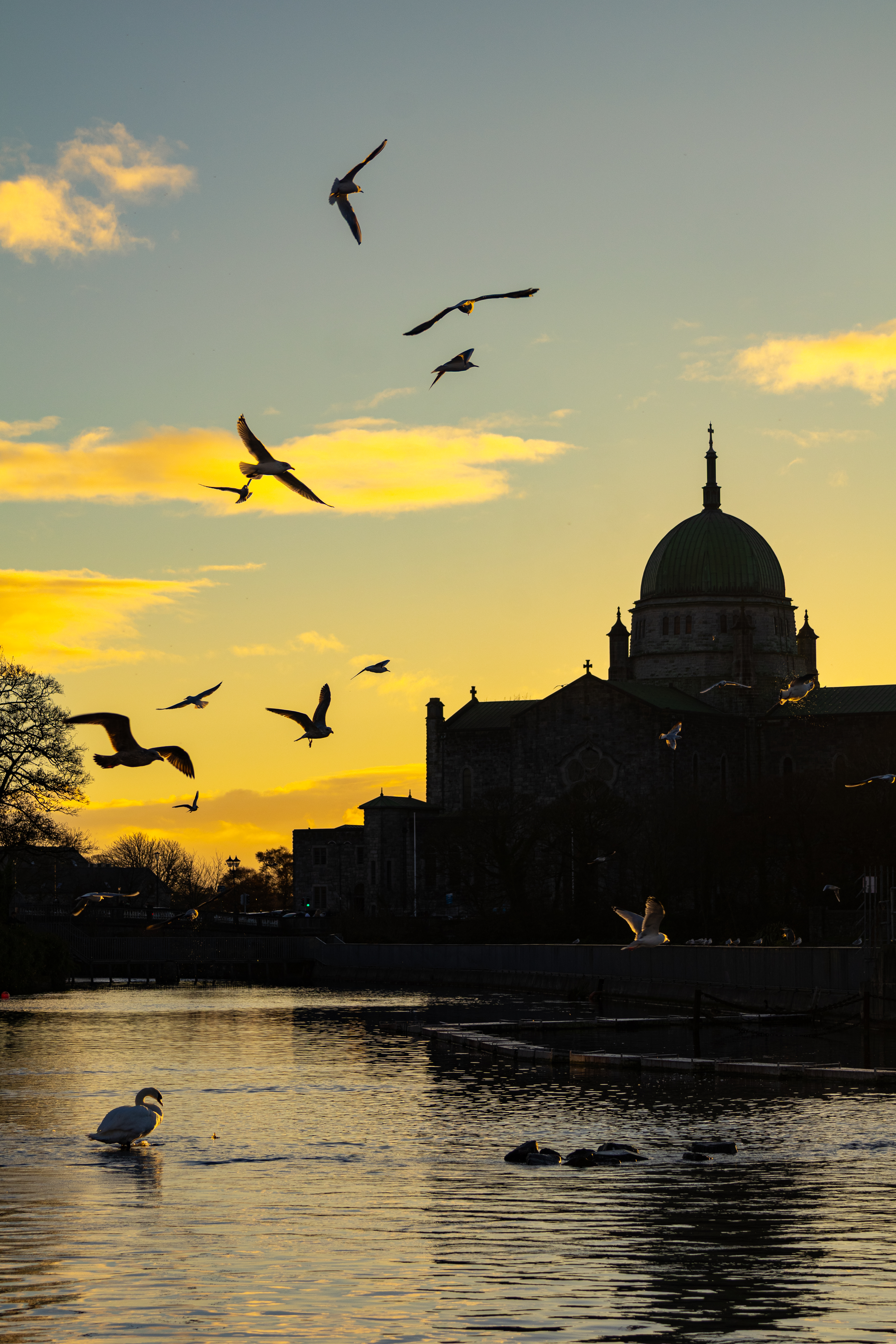 Galway Cathedral silhouette at golden sunset, Ireland
