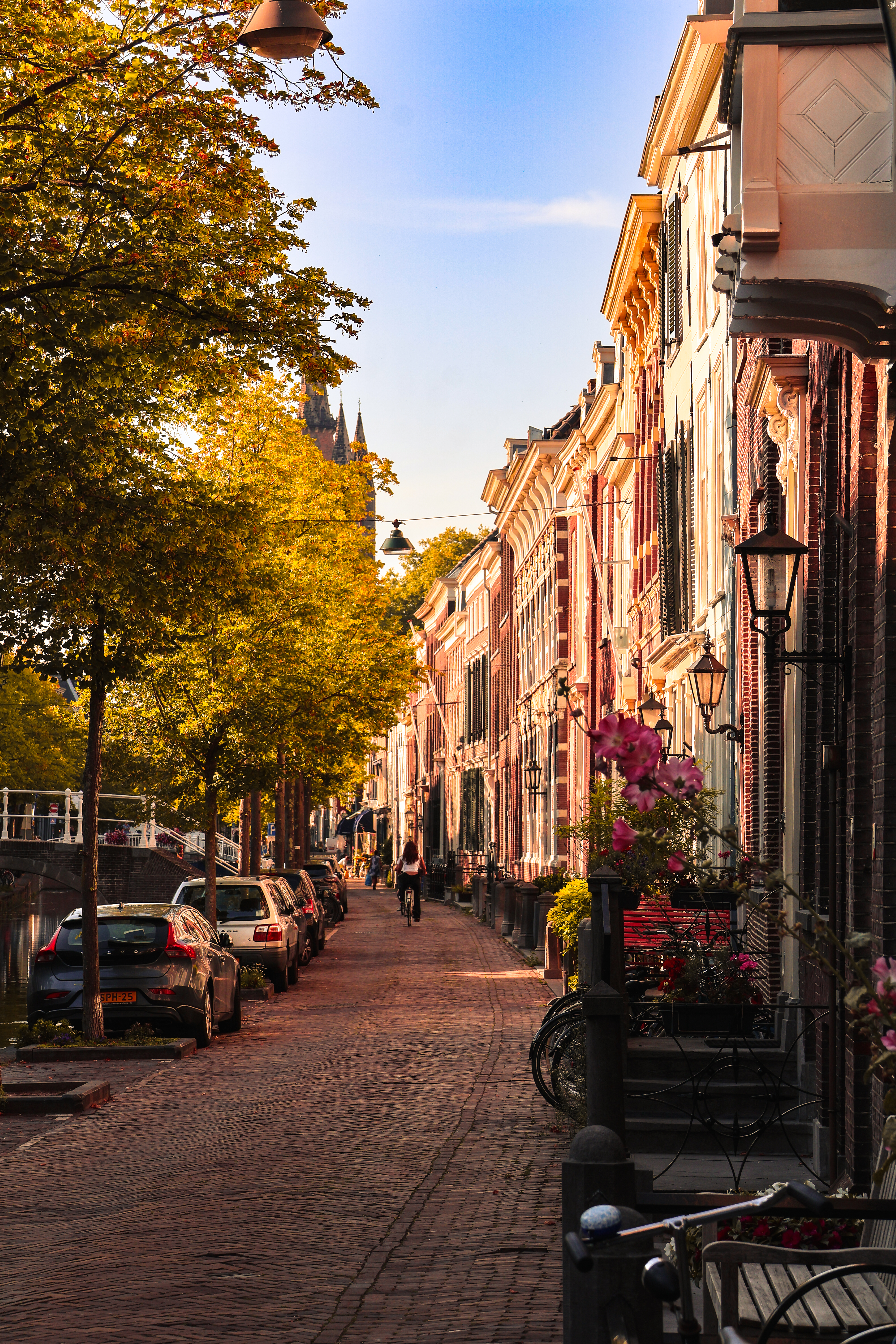 Autumn canal street, Netherlands